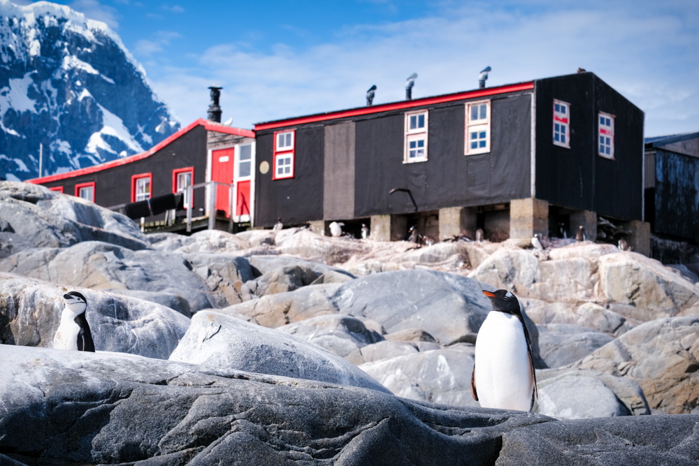gentoos in front of an historic building at Port Lockroy
