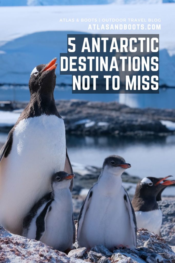 Antarctic destinations not to miss Pinterest pin