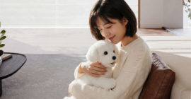 AI moves into the real world as companion robots and pets