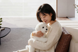 AI moves into the real world as companion robots and pets