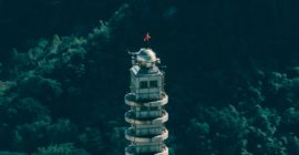 Alex Honnold Free Climbs 101-Floor Skyscraper In Taipei While Listening to Tool