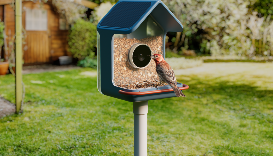 Birdbuddy’s new smart feeders aim to make spotting birds easier, even for beginners
