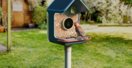 Birdbuddy’s new smart feeders aim to make spotting birds easier, even for beginners