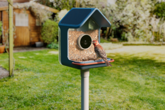 Birdbuddy’s new smart feeders aim to make spotting birds easier, even for beginners