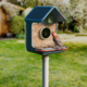 Birdbuddy’s new smart feeders aim to make spotting birds easier, even for beginners