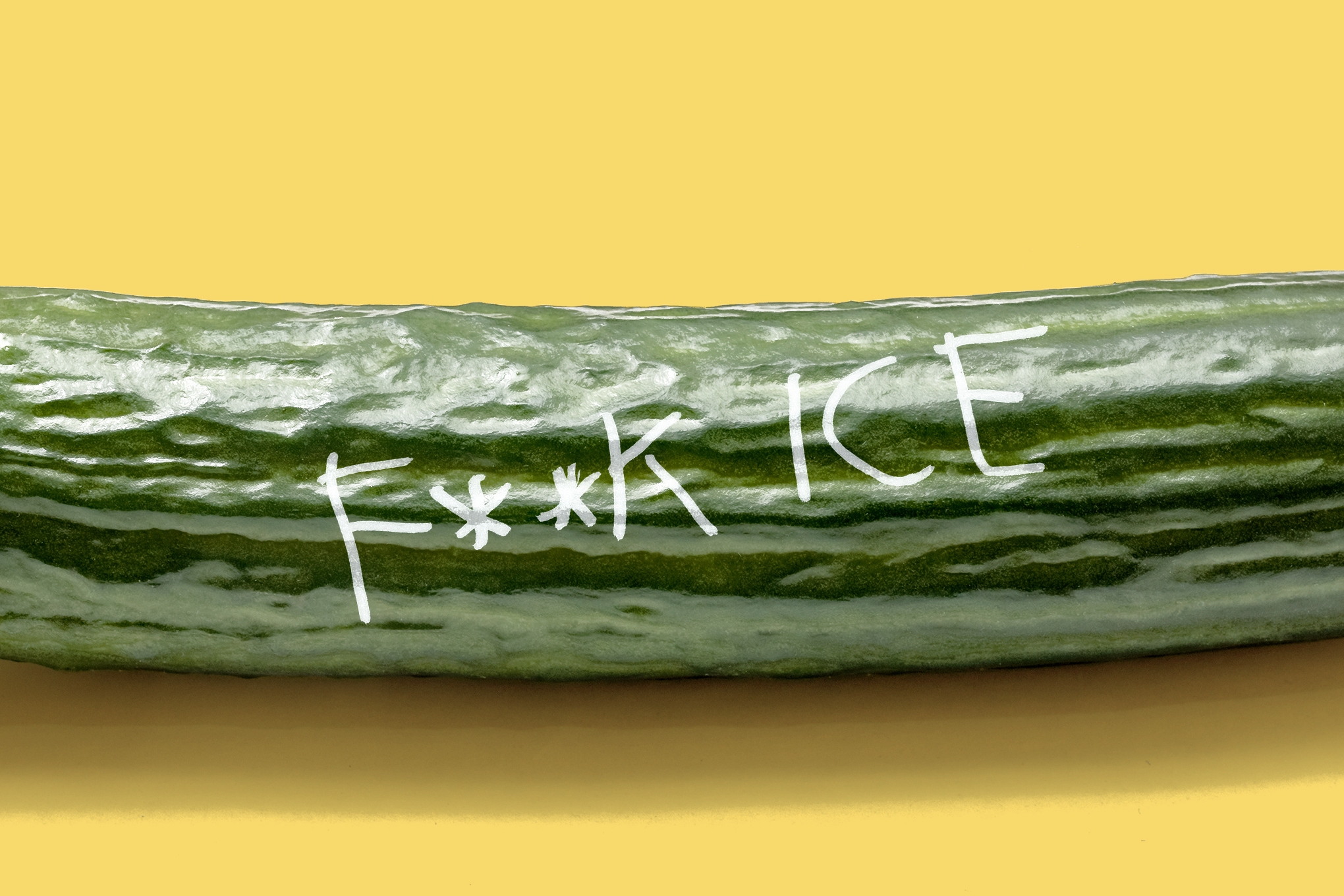 268279_r_MassiveCock,_welcome_to_the_resistance_CVirginia23