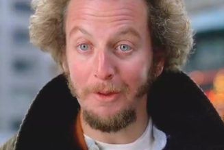 Home Alone's Daniel Stern Cited for Solicitation