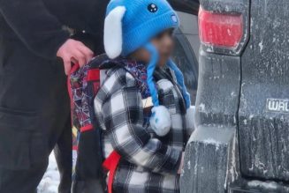 ICE Goons Detain Preschooler Liam Ramos In Minnesota