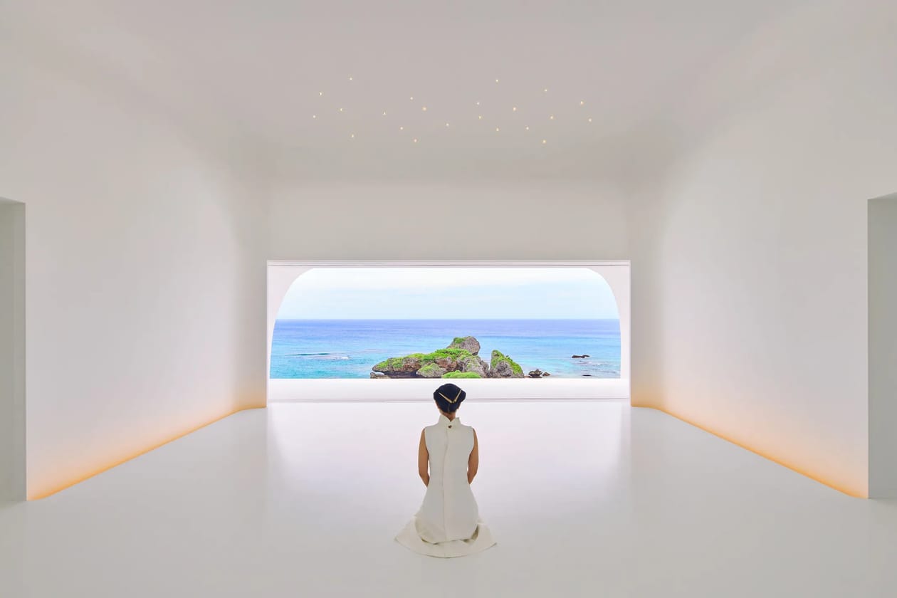 museum shows to see exhibitions paintings artworks contemporary art institutions modern art