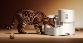 Petkit’s first automatic wet food feeder keeps track of how much your pet eats