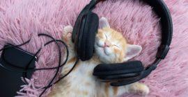 Staff Picks: Best Songs of the Week January 3rd – January 9th