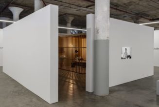 ‘Teching Hsieh: Lifeworks’ Traces 21 Years of Endurance