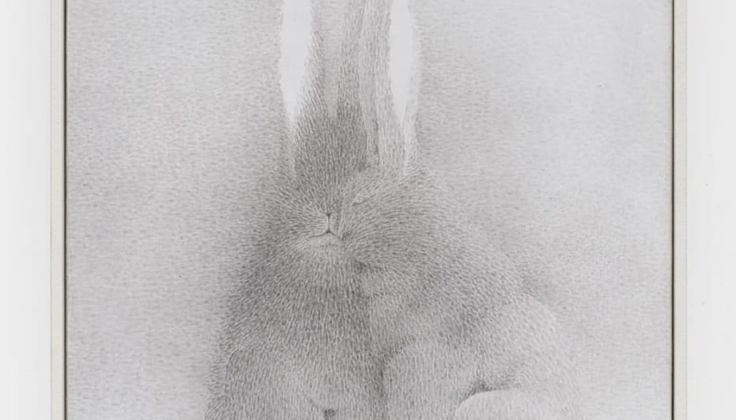 The Best Booths To See at ART SG 2026