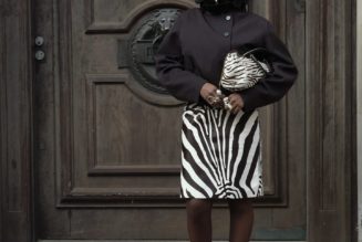 The Elevated Zebra Print Skirt Trend Fashion People Love in 2026