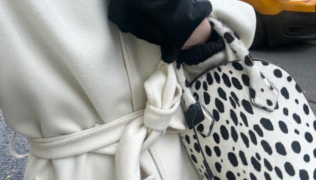 The Pony-Hair Trend Is About to Take Over 2026