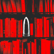 The year politics became brainrot