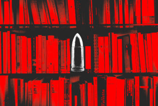 The year politics became brainrot