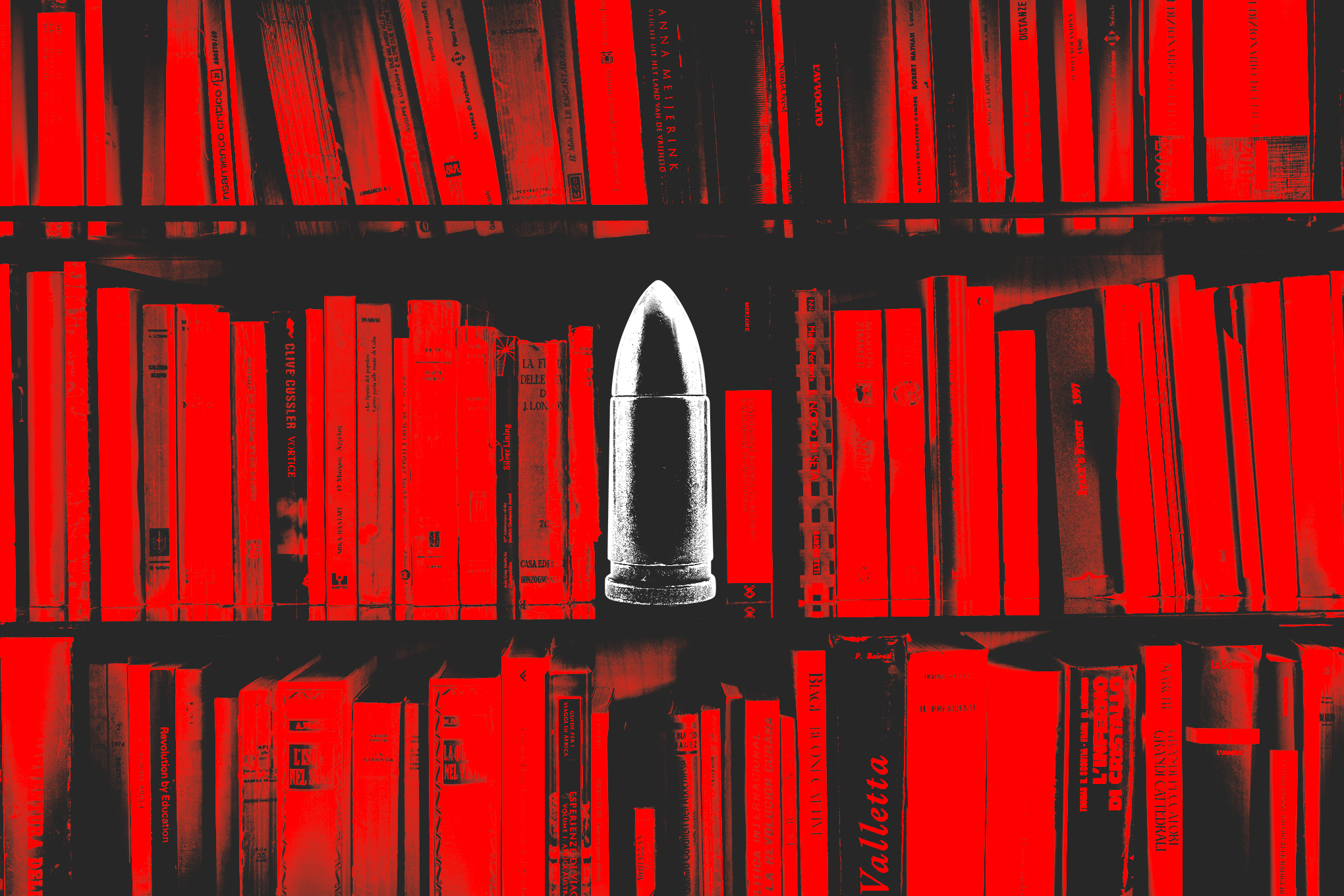 258090_EOY_2025_CVirginia_ILLITERATE