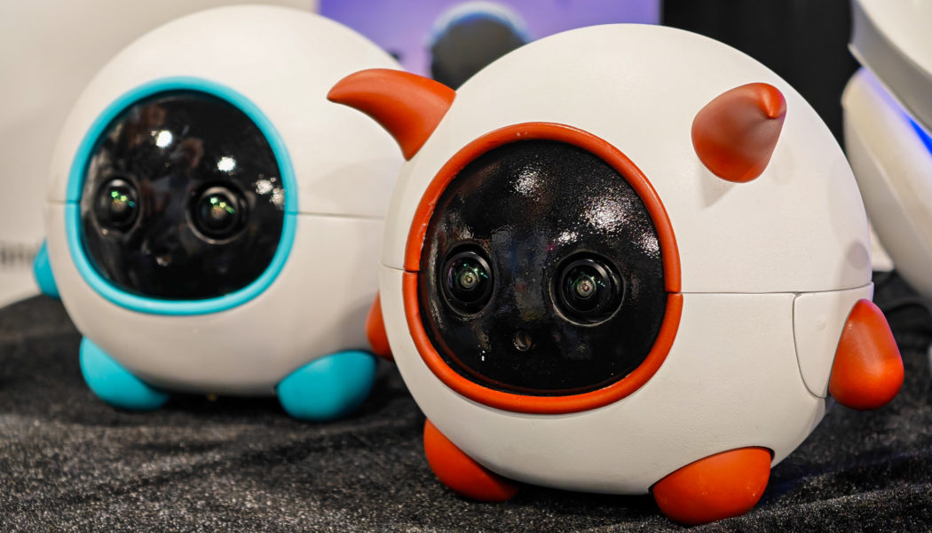 This robot companion is a cameraman for your pet