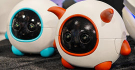 This robot companion is a cameraman for your pet