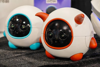 This robot companion is a cameraman for your pet