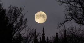 Topps Celebrates LeBron James’ 23rd Season With Commemorative Uniform Patch