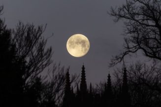 Topps Celebrates LeBron James' 23rd Season With Commemorative Uniform Patch