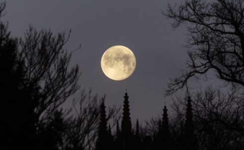 Topps Celebrates LeBron James' 23rd Season With Commemorative Uniform Patch