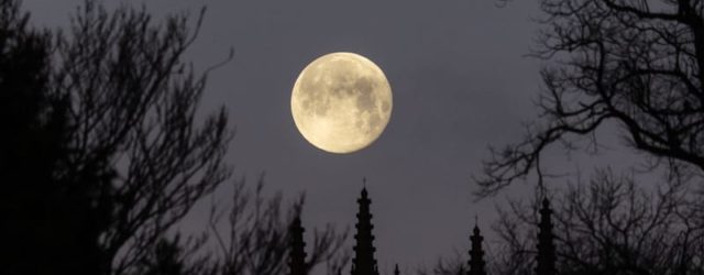 Topps Celebrates LeBron James' 23rd Season With Commemorative Uniform Patch