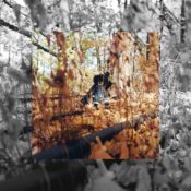 You need to listen to Billy Woods’ horrorcore masterpiece for the A24 crowd