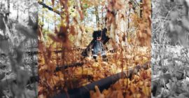 You need to listen to Billy Woods’ horrorcore masterpiece for the A24 crowd