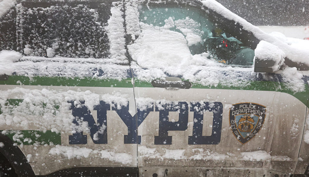 Advocates Demand Arrests After NYPD Catch Snowball Fades