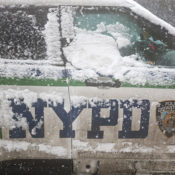 Advocates Demand Arrests After NYPD Catch Snowball Fades
