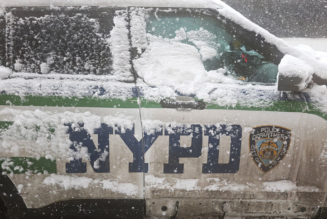 Advocates Demand Arrests After NYPD Catch Snowball Fades