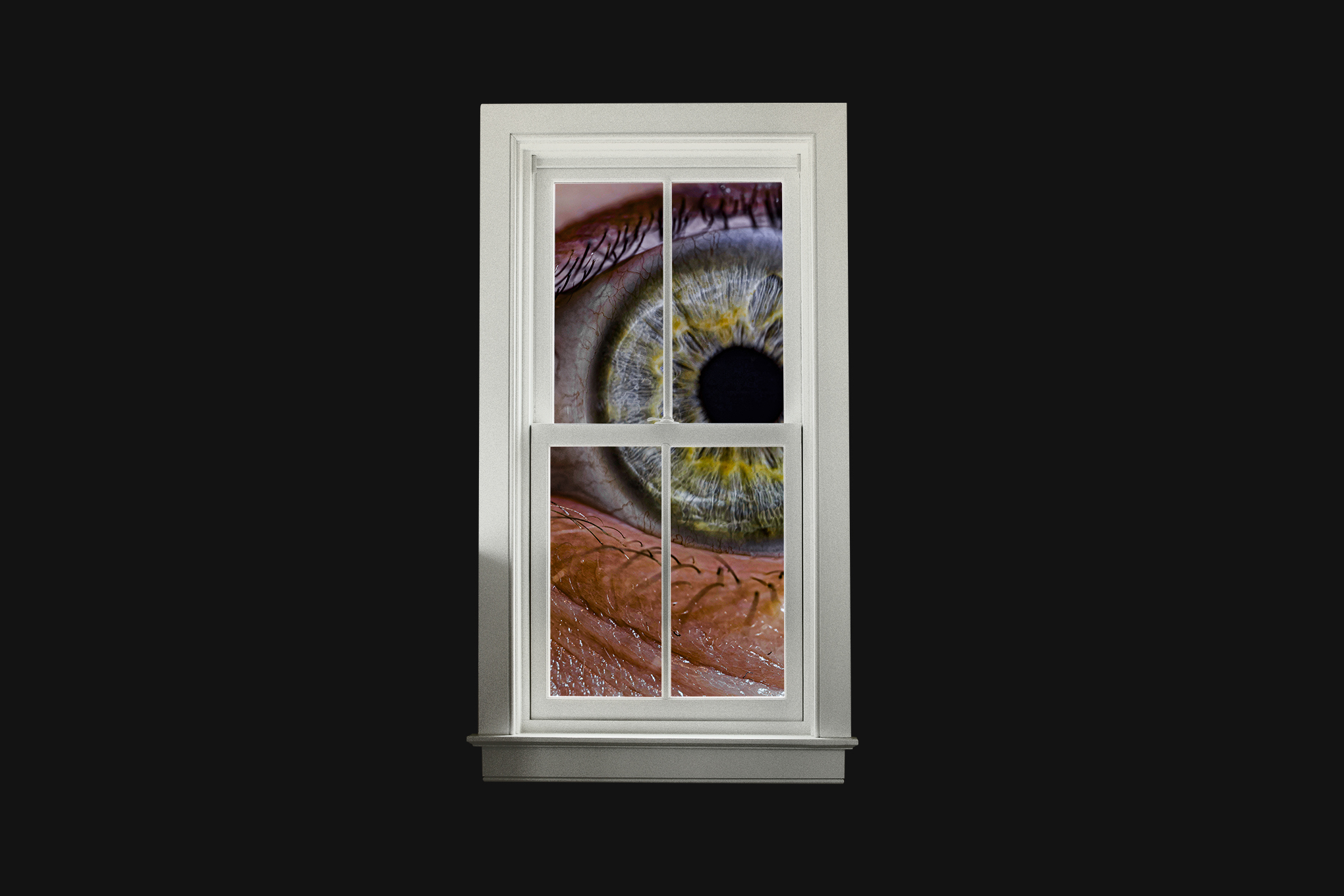 268314_Stepback-_The_US_desperately_needs_privacy_rights_CVirginia2