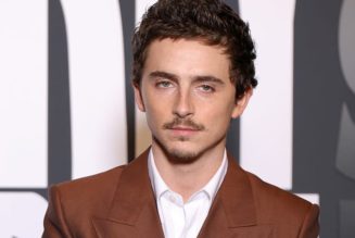 American Cinematheque Honors Timothée Chalamet's Record Breaking Career With Retrospective