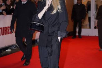 Angelina Jolie Is Already Wearing the Specific Handbag Shape Set to Dominate This Spring