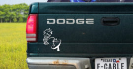 Everyone is stealing TV