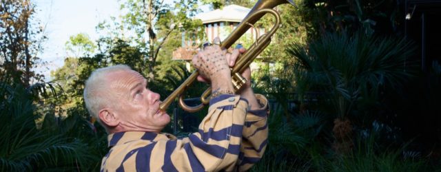 Flea Unveils Bonkers Cover of Frank Ocean's "Thinkin Bout You"