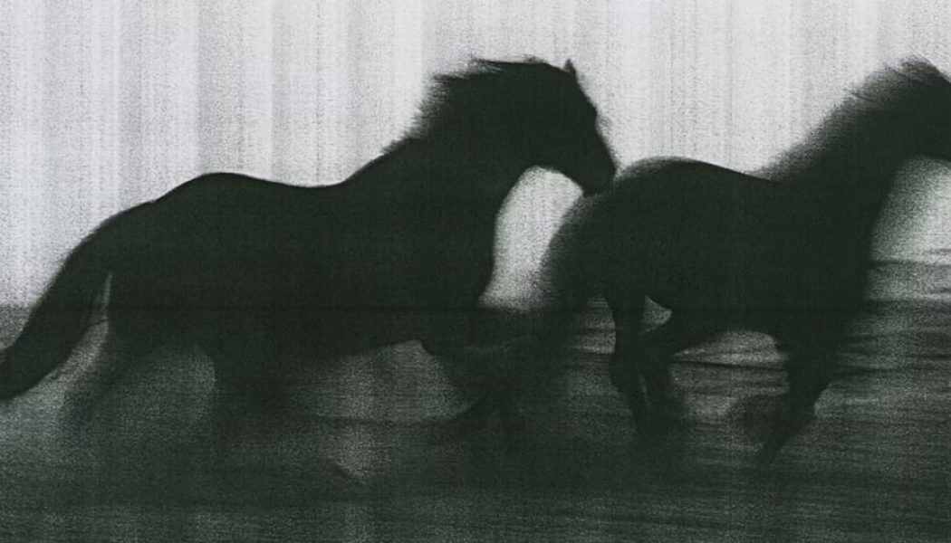 ‘Hard Copy’ Gives the Humble Photocopier Its Due