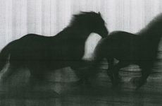 ‘Hard Copy’ Gives the Humble Photocopier Its Due