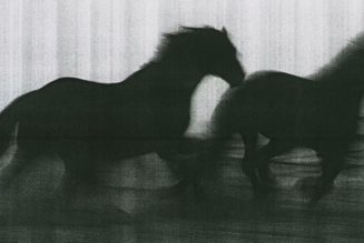 ‘Hard Copy’ Gives the Humble Photocopier Its Due