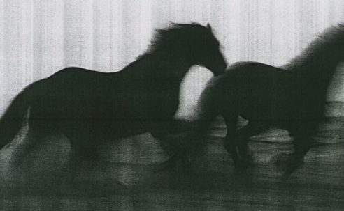 ‘Hard Copy’ Gives the Humble Photocopier Its Due