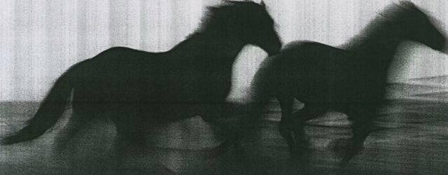 ‘Hard Copy’ Gives the Humble Photocopier Its Due