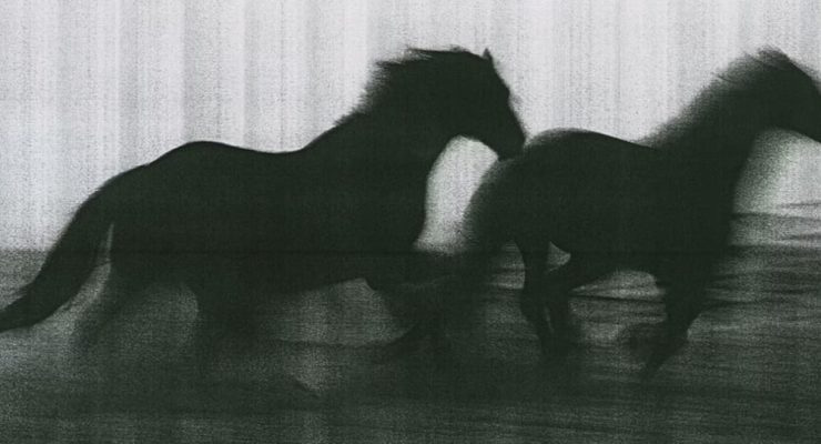 ‘Hard Copy’ Gives the Humble Photocopier Its Due