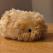 I hate my AI pet with every fiber of my being