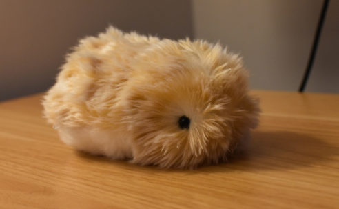 I hate my AI pet with every fiber of my being