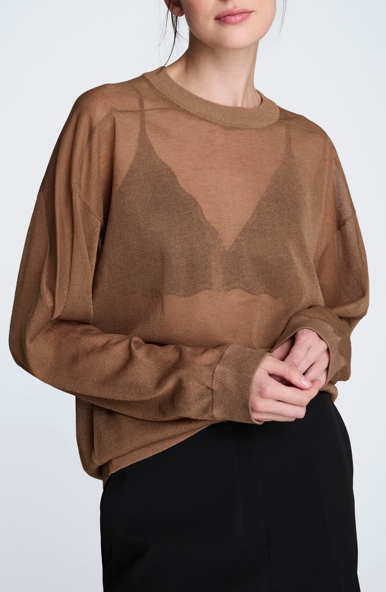 Sheer Crewneck Sweatshirt