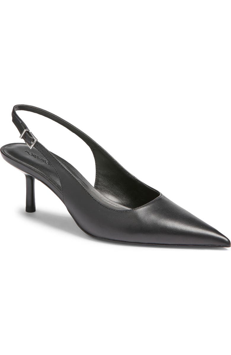 Liza Pointed Toe Pump