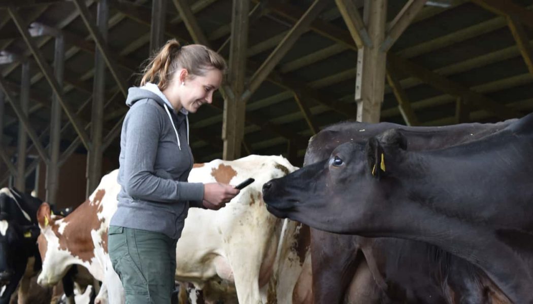 "Lifestyle-Teilzeit": So sehen Landwirtinnen und Landwirte die Teilzeit-Debatte